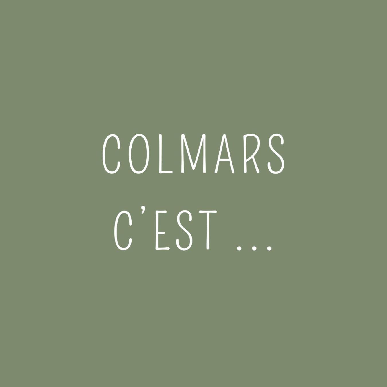 קולמאר Maison Familiale Des Remparts מראה חיצוני תמונה